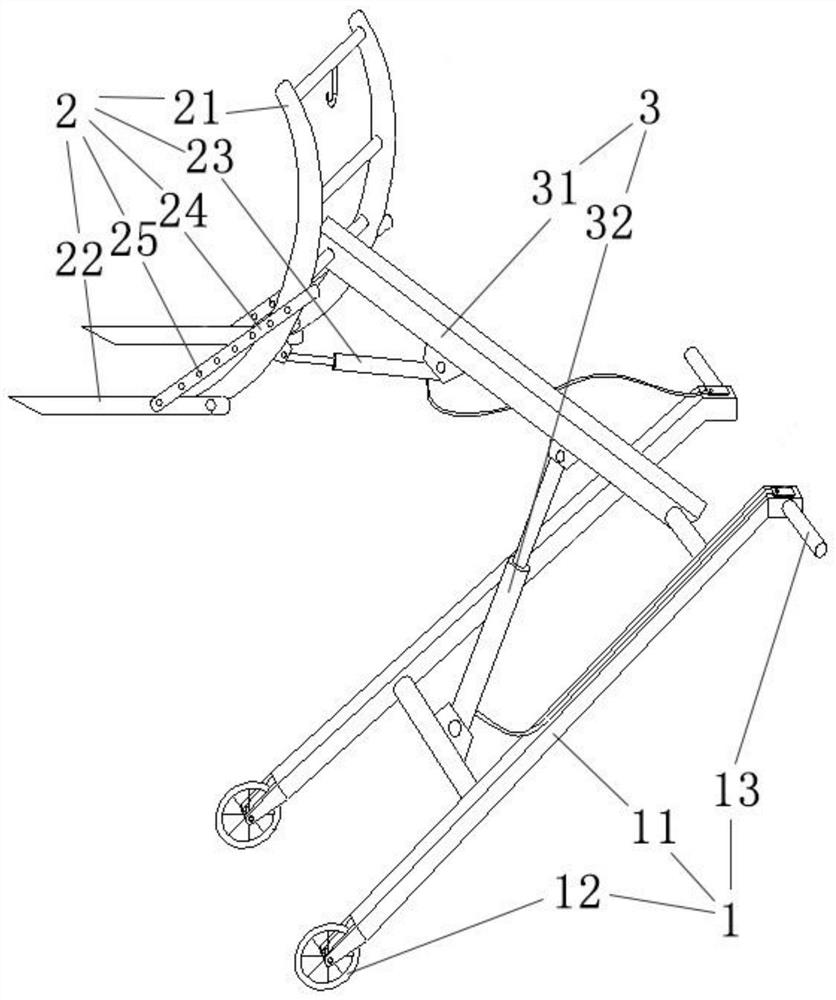 Multifunctional automatic carrying device