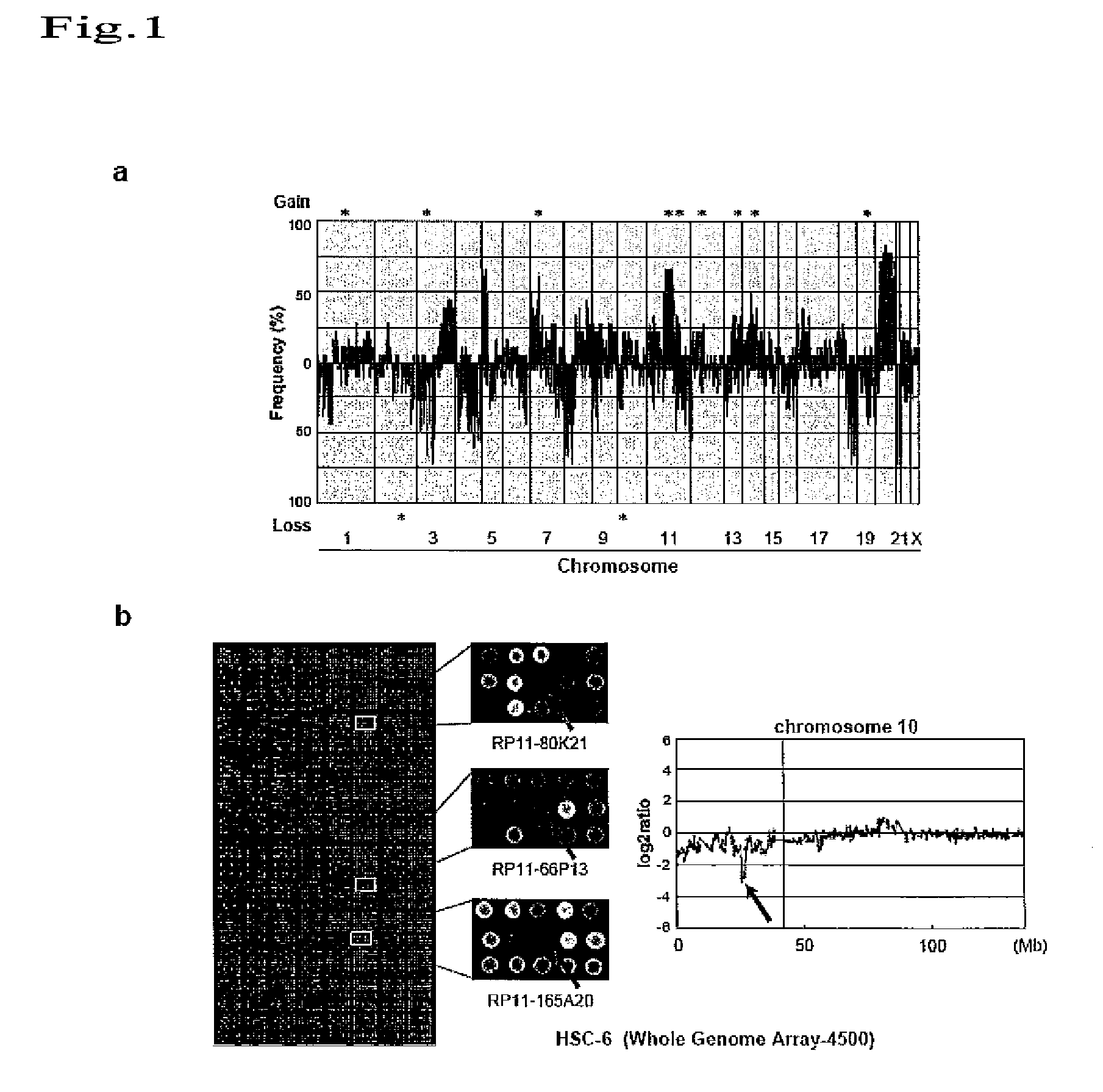 Method for detecting oral squamous-cell carcinoma and method for suppressing the same