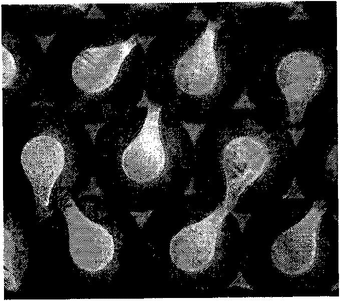 Polyester composite fiber and method for producing same