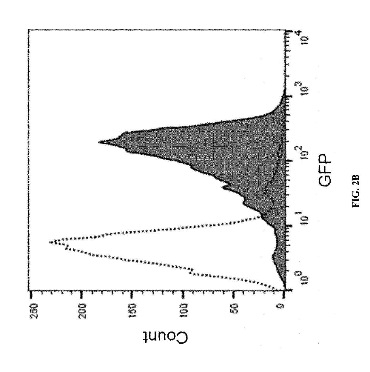 Paenibacillus-based endospore display platform, products and methods