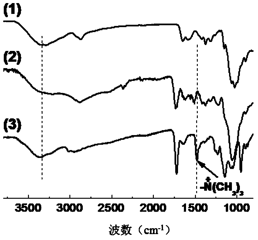 Full-strength cationic grafted natural polymer sludge conditioner and preparation method thereof