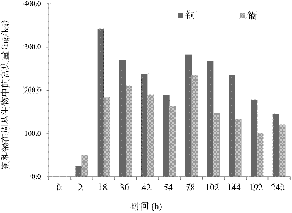 Method and device for synchronously removing various heavy metals in agricultural non-point source sewage