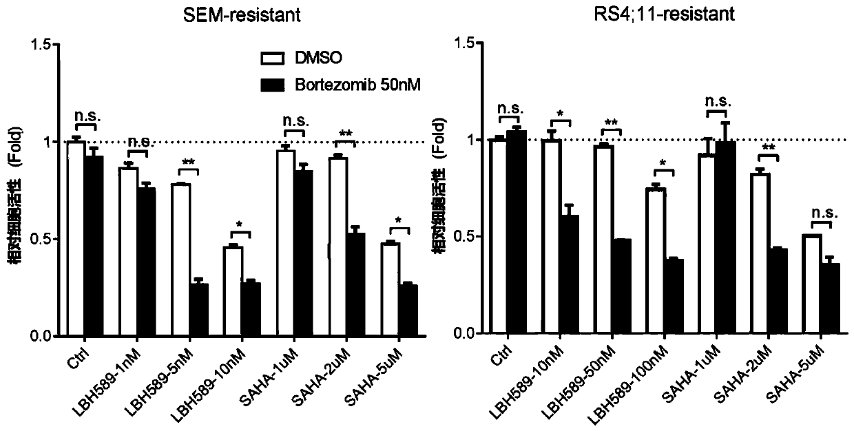 Application of combination of bortezomib and panobinostat or vorinostat in preparing drugs for treating drug-resistant MLL