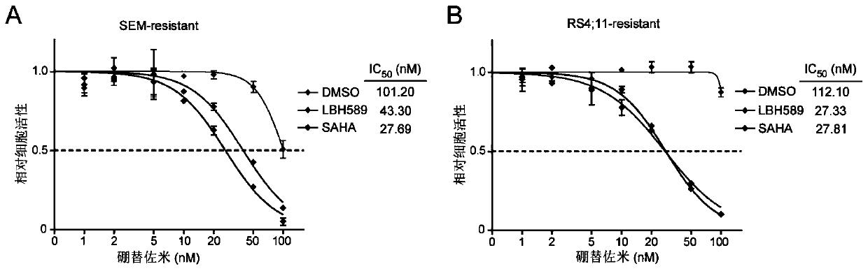 Application of combination of bortezomib and panobinostat or vorinostat in preparing drugs for treating drug-resistant MLL