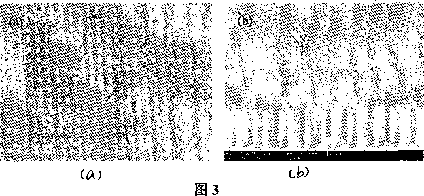 Preparation of surface reinforced Raman active substrate of large area micro-nano dendritical structure array