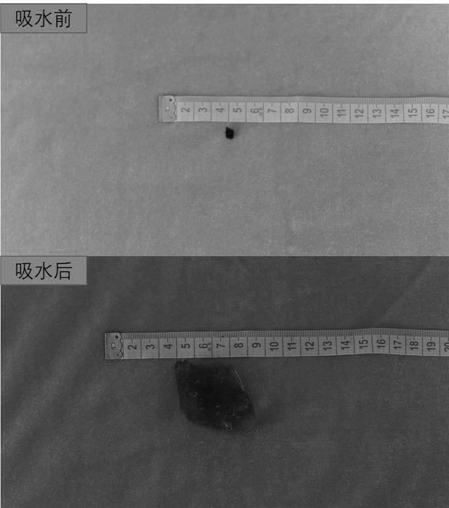 Modified charcoal composite hydrogel as well as preparation method and application thereof