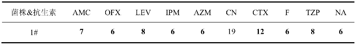 Application of sanguinarine in inhibiting growth of multi-drug-resistant enterobacter horbiae