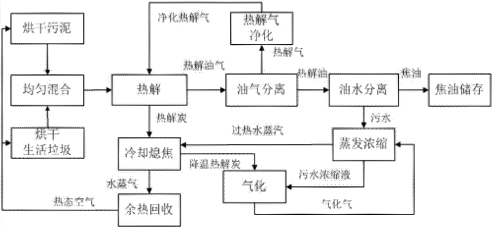 System and method for treating domestic garbage and sewage sludge