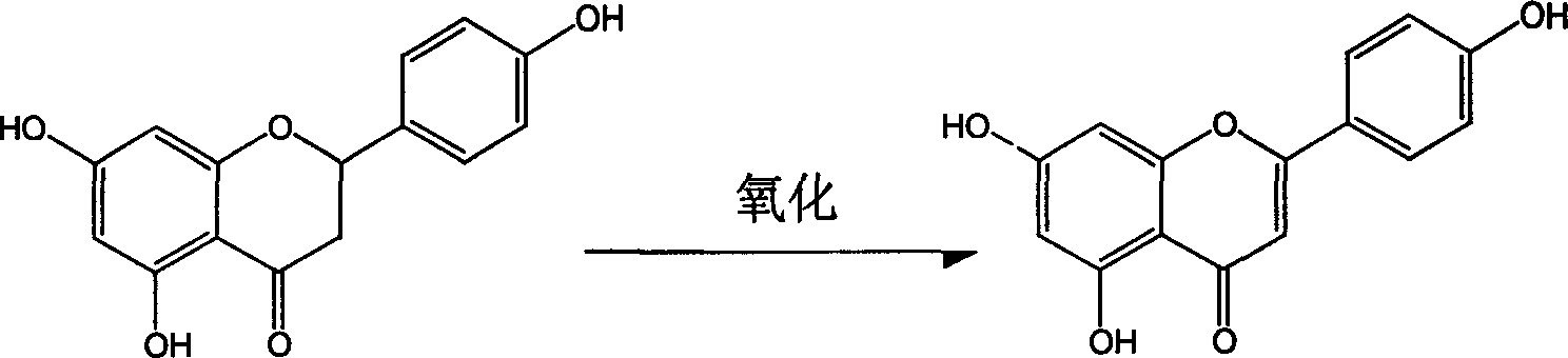 Process for semi-synthesizing of apiolin