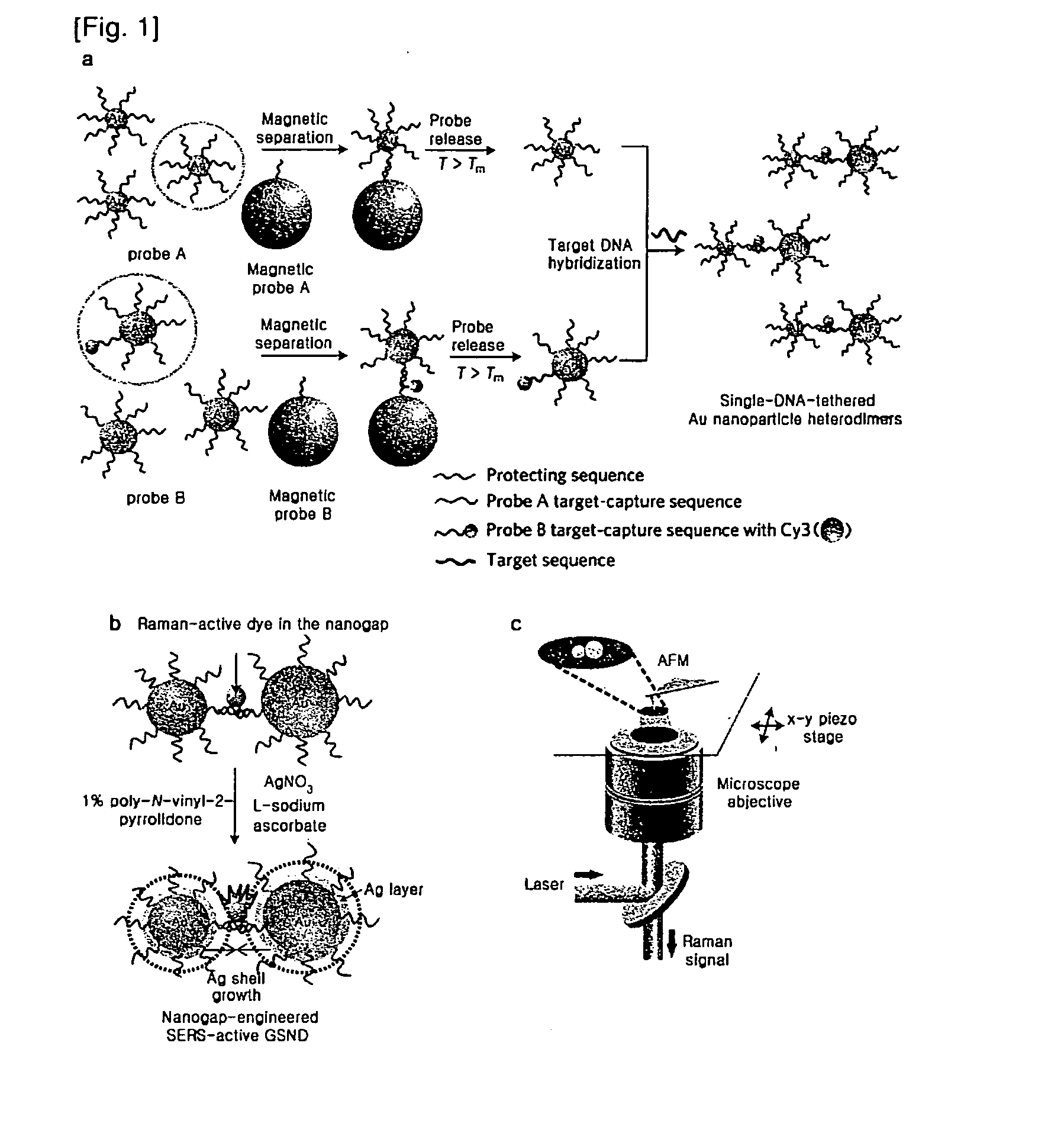 Dimeric core-shell nanostructure labeled with raman active molecule localized at interparticle junction, use thereof, and method for preparing the same