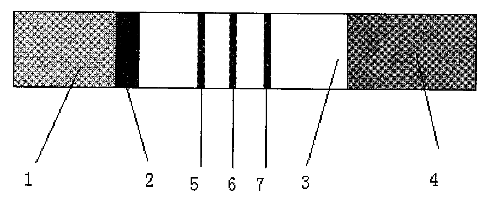 Immunity-chromatography kit for rapid diagnosis of malaria and its pathogen species and preparation method thereof