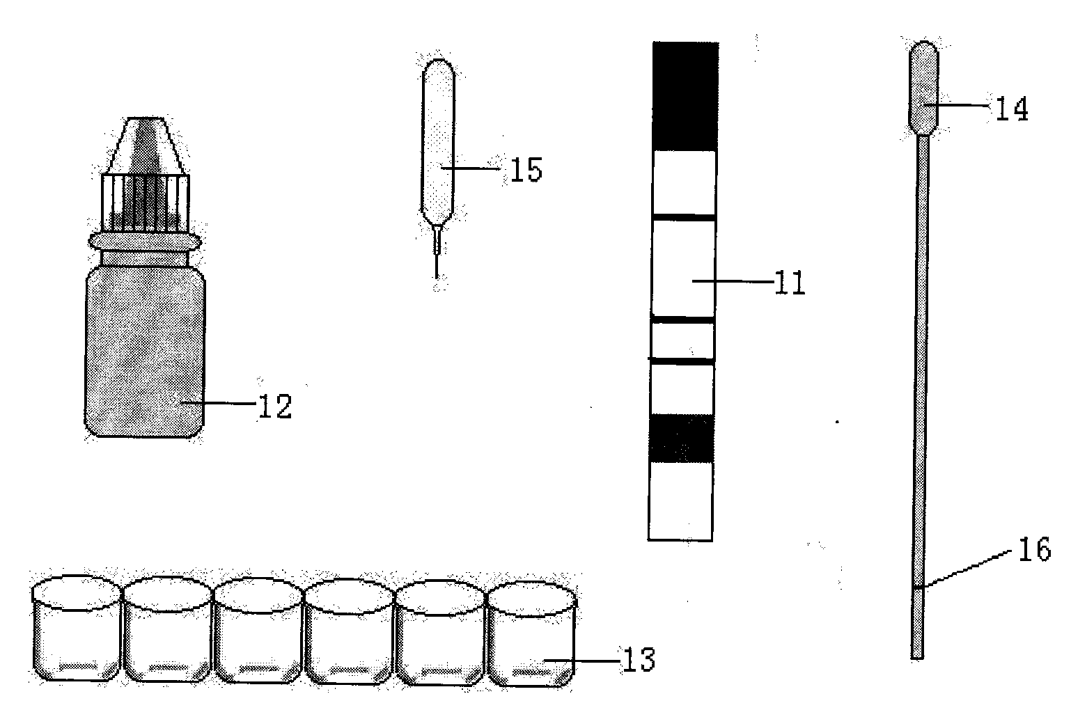 Immunity-chromatography kit for rapid diagnosis of malaria and its pathogen species and preparation method thereof