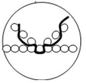 Machine woven artificial trachea