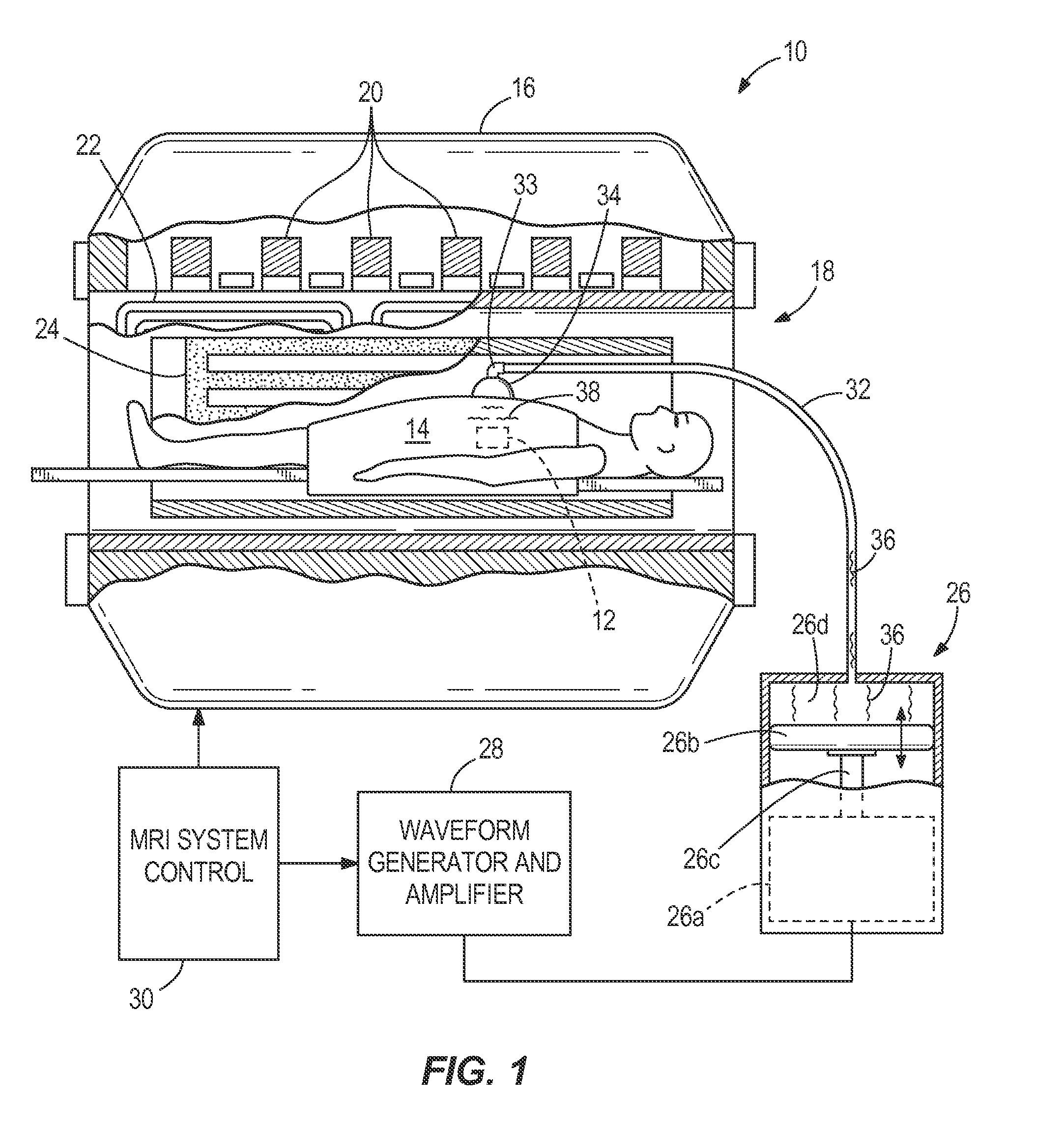 Curved Passive Acoustic Driver for Magnetic Resonance Elastography