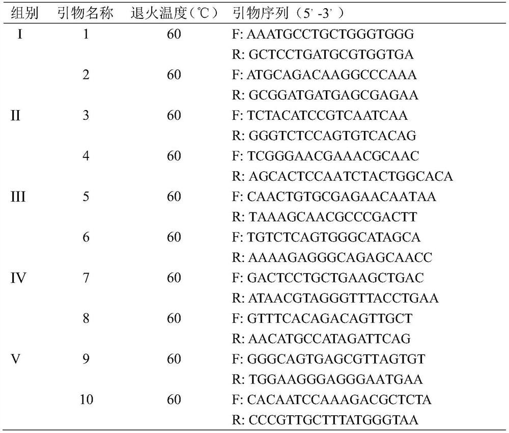 Double pcr method applied to identification of herring phylogenetic relationship