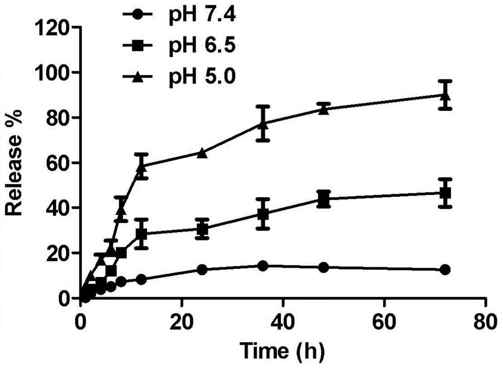 Targeting preparation for resisting drug-resistant tumor, as well as preparation method and application thereof