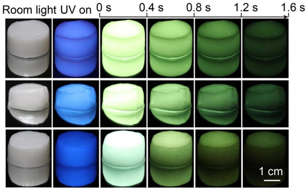 Super-long room-temperature phosphorescent hydrogel material and preparation method thereof