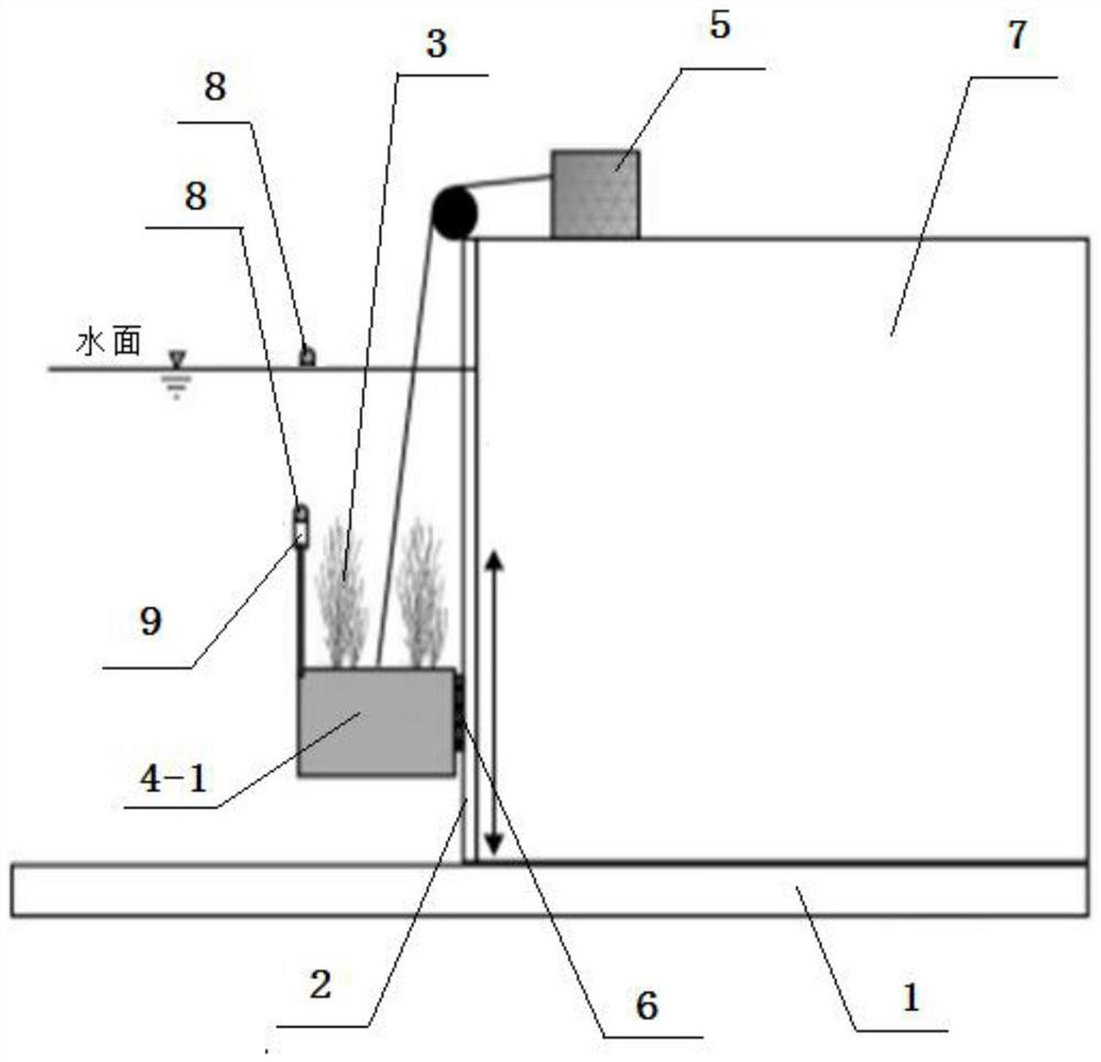 Submerged plant transplanting culture device under eutrophic water body environmental conditions