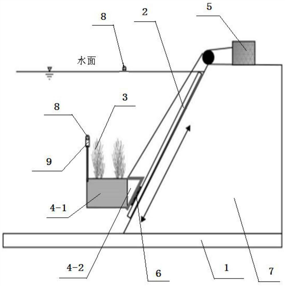 Submerged plant transplanting culture device under eutrophic water body environmental conditions