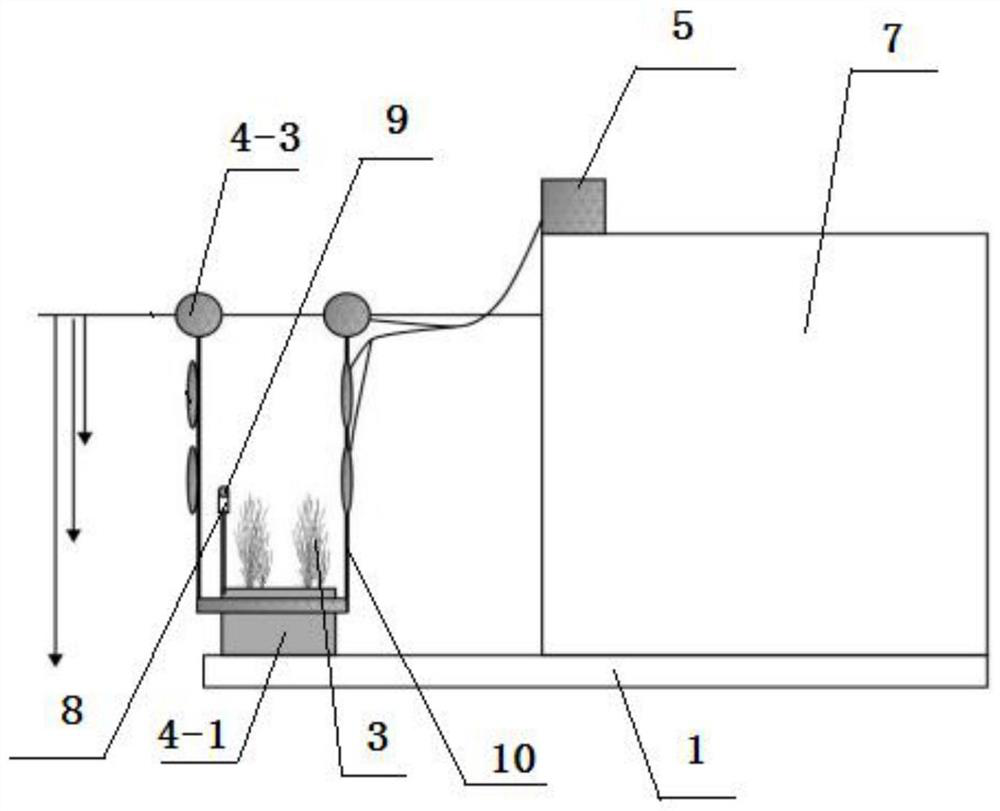 Submerged plant transplanting culture device under eutrophic water body environmental conditions