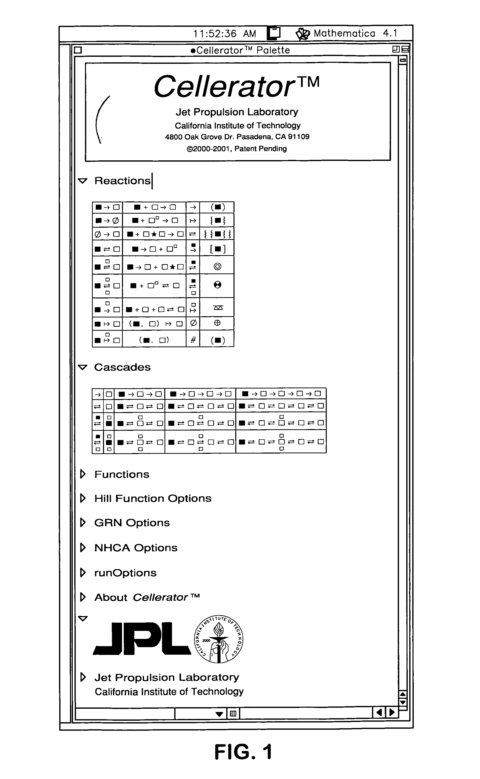 Automated methods for simulating a biological network