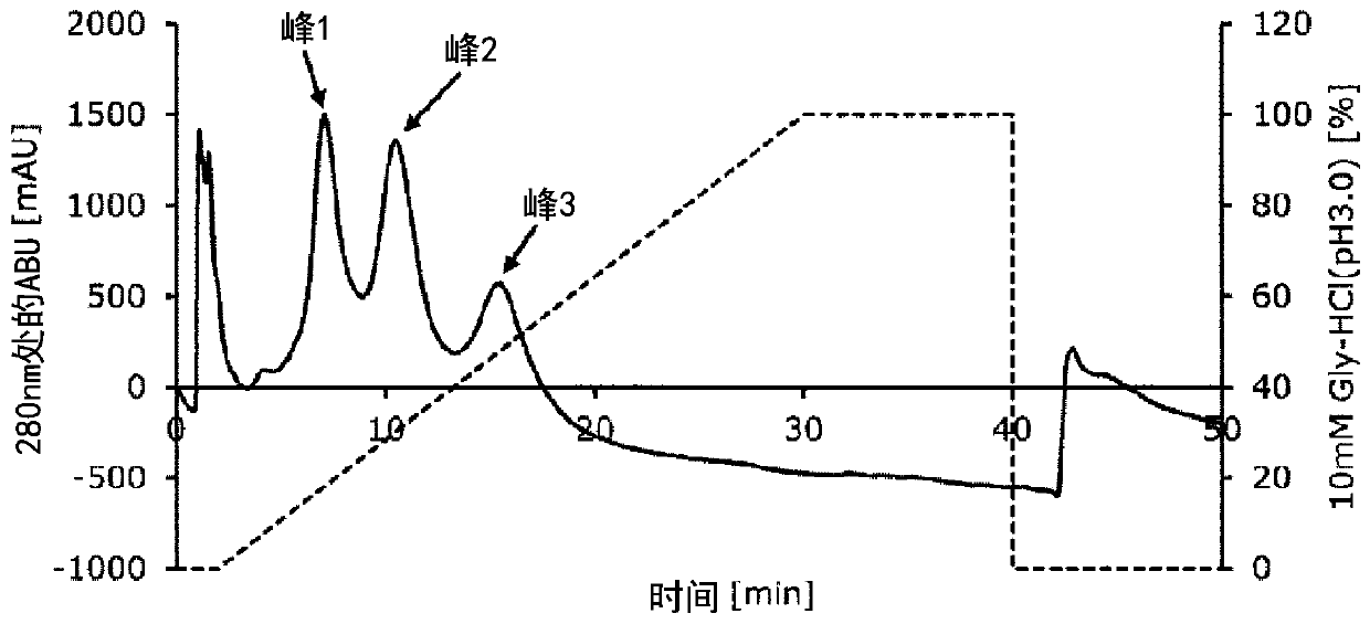 Fc-binding protein having improved antibody separation ability, and method for separating antibody using same