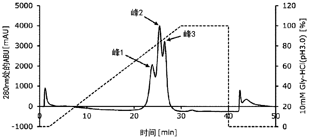 Fc-binding protein having improved antibody separation ability, and method for separating antibody using same