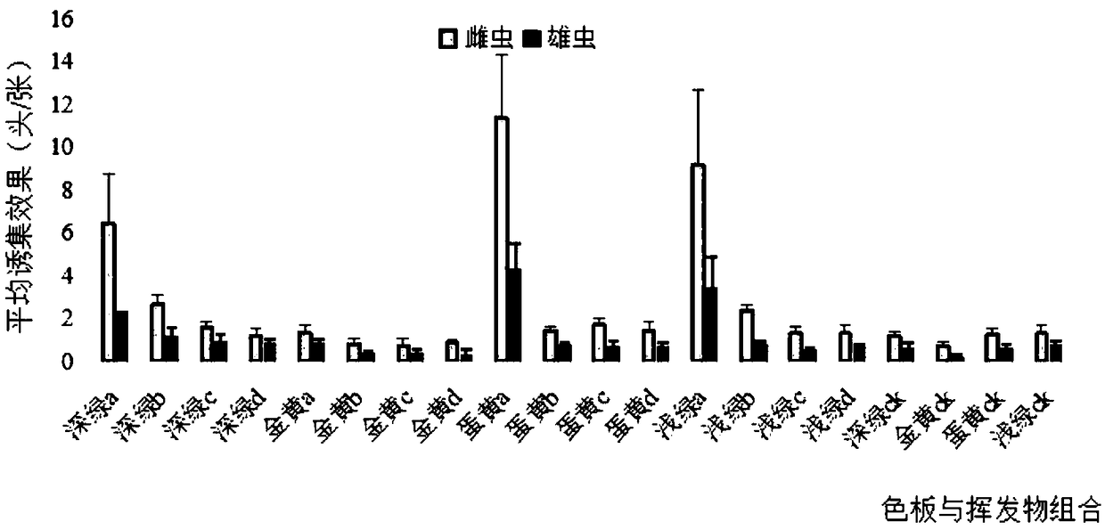 Adult agrilus mali matsumura trapping method and adopted trapping device