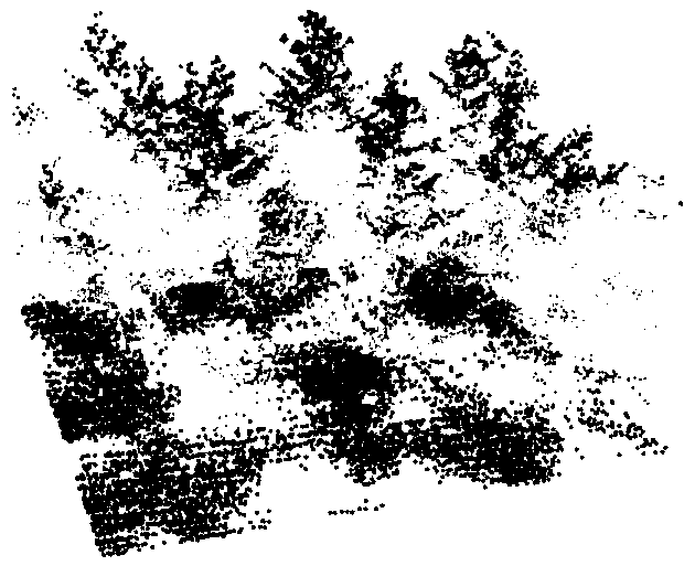 Method for inverting forest structure parameters of artificial forest based on unmanned aerial vehicle laser radar