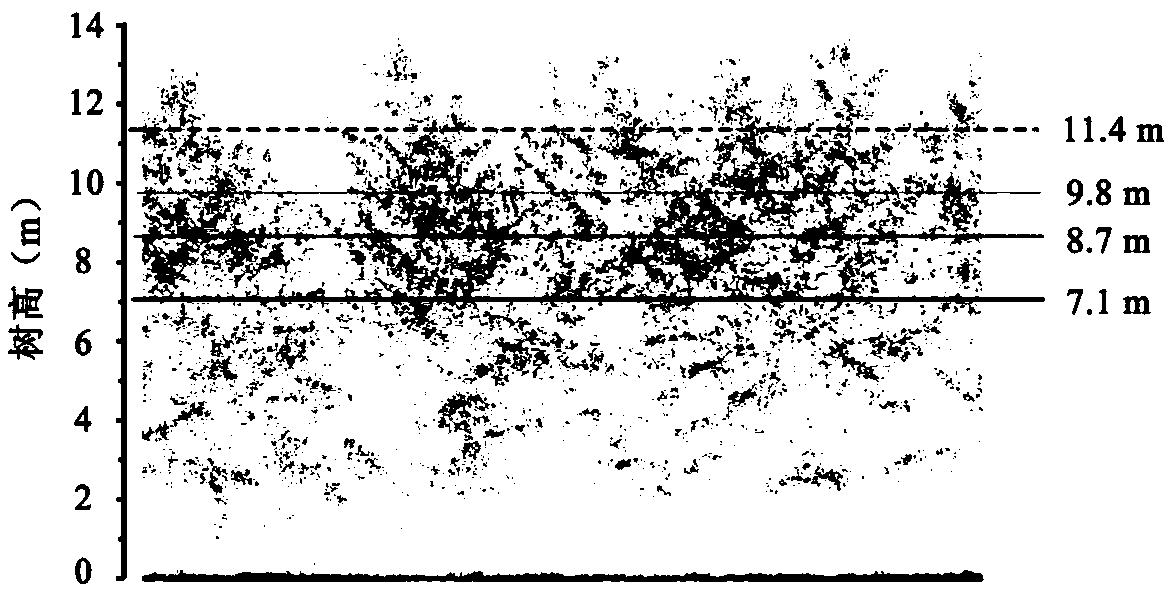 Method for inverting forest structure parameters of artificial forest based on unmanned aerial vehicle laser radar