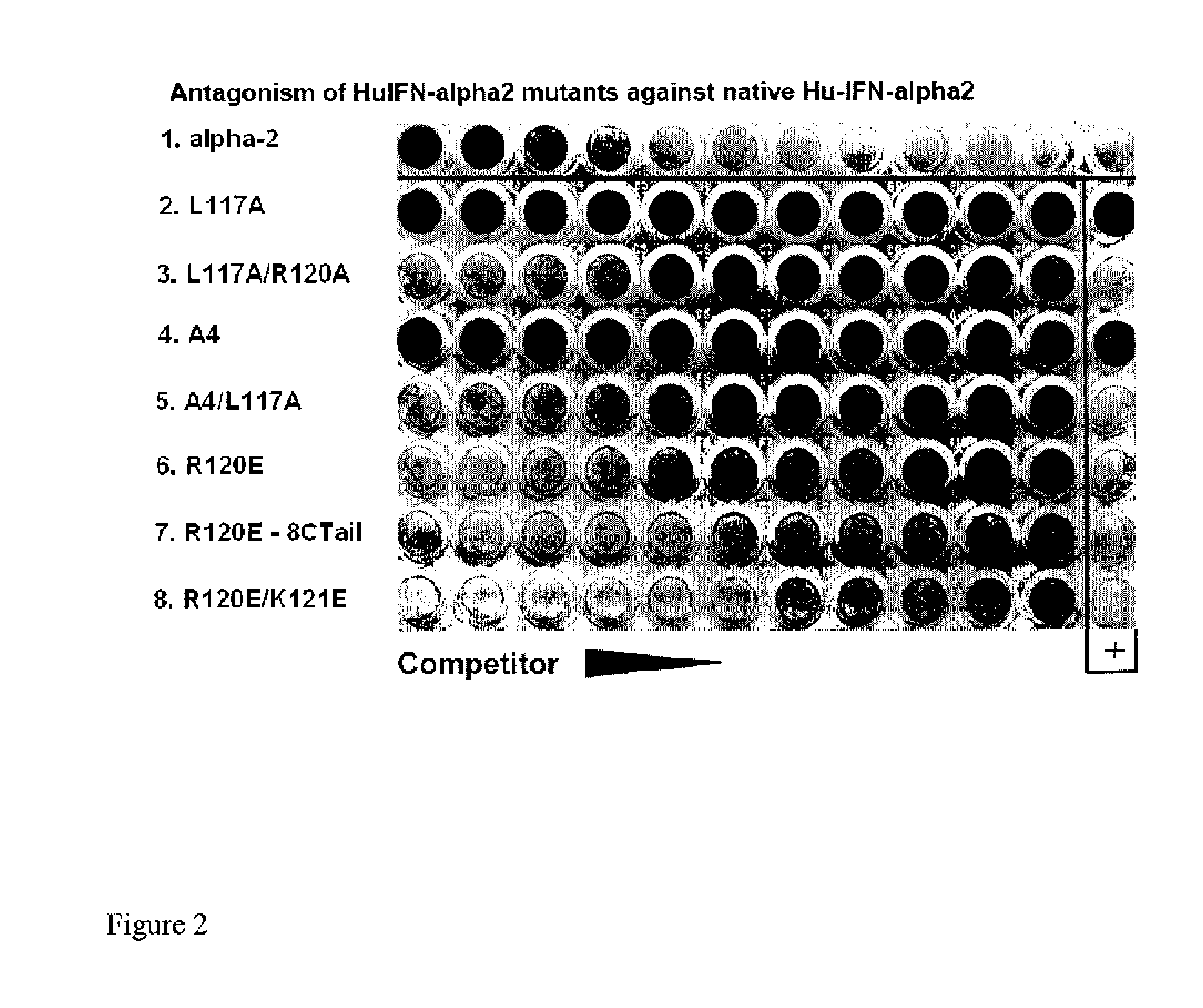 Type I Interferon Antagonists