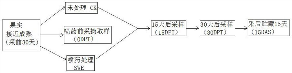 Fruit preservative and method for delaying senescence of citrus fruits and prolonging fruit bearing fresh-keeping period