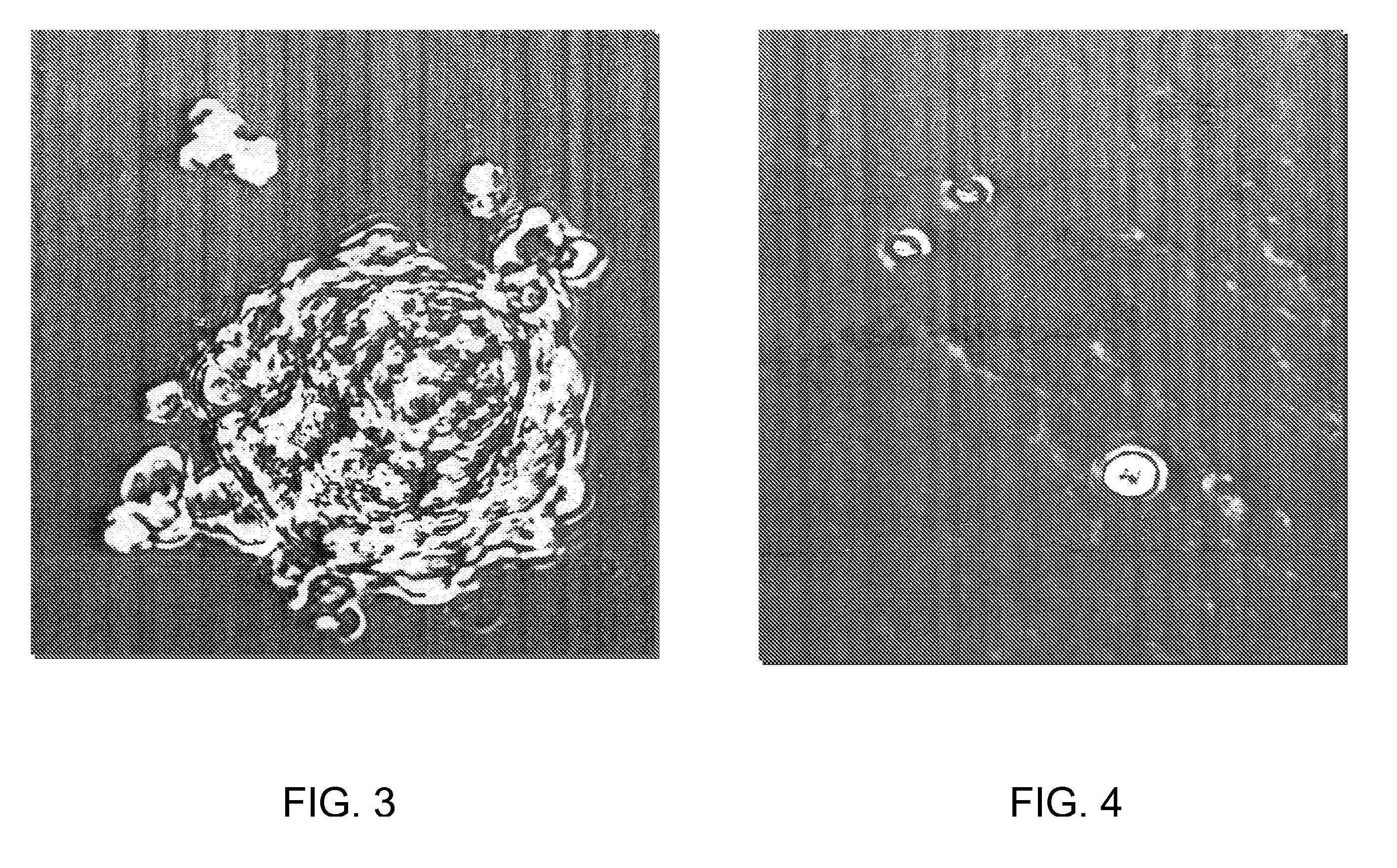 Composition and Method for Selective Cytostasis