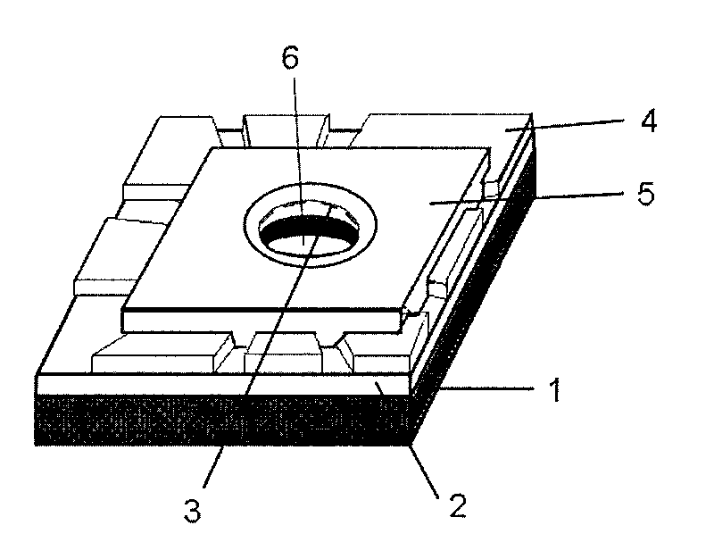 Nano-pore electric sensor