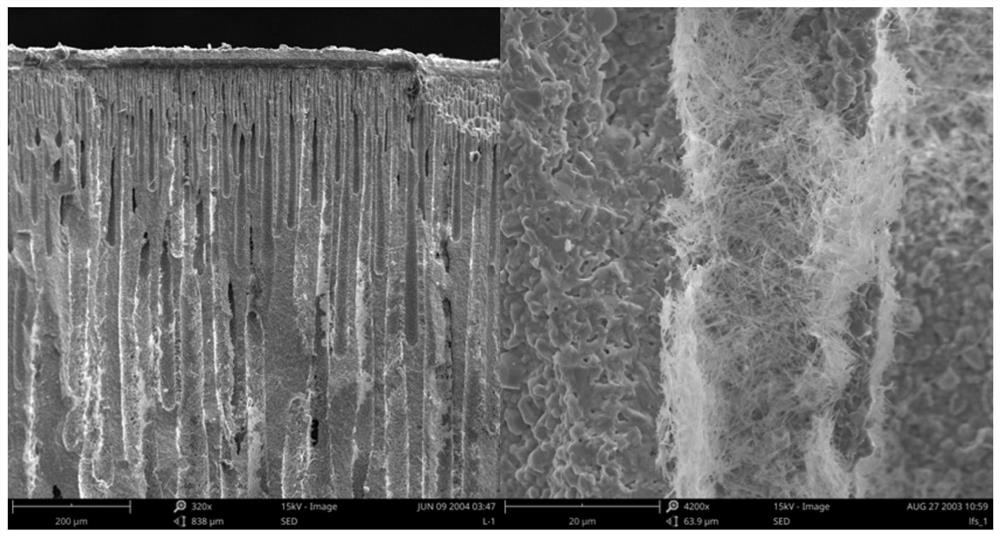 Novel renewable energy storage reactor and application thereof