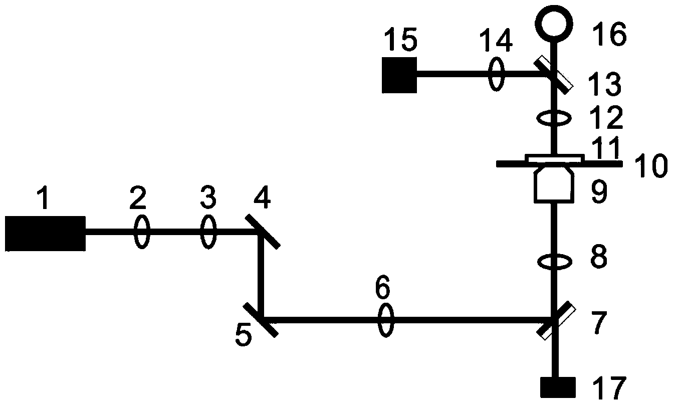 Particle diameter detection method based on optical trapping