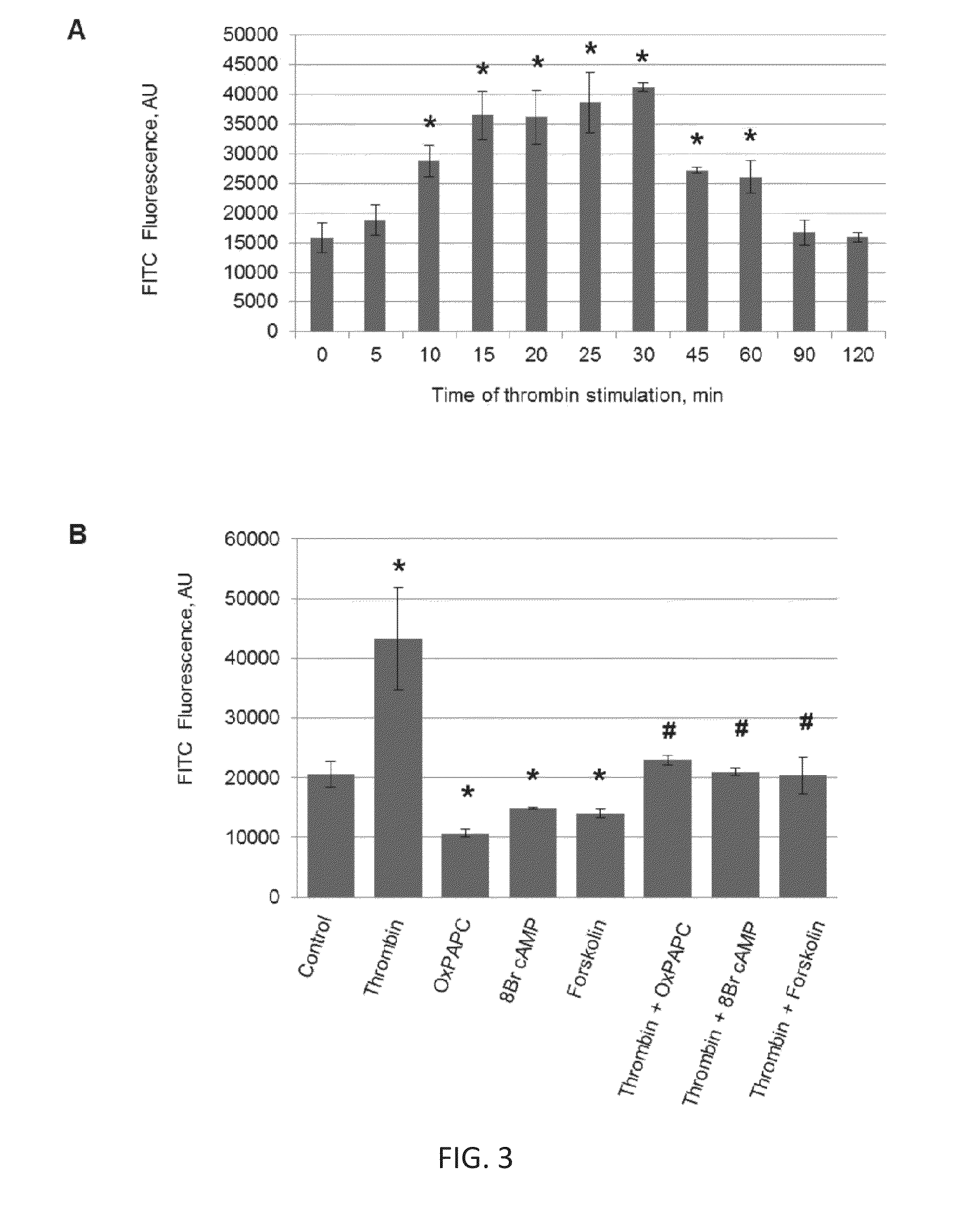 Methods and Compositions for Measuring Cell Permeability