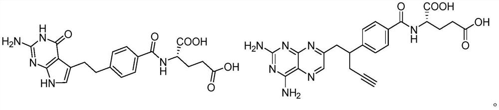 Iron carrier-dihydrofolate reductase inhibitor conjugate and application thereof