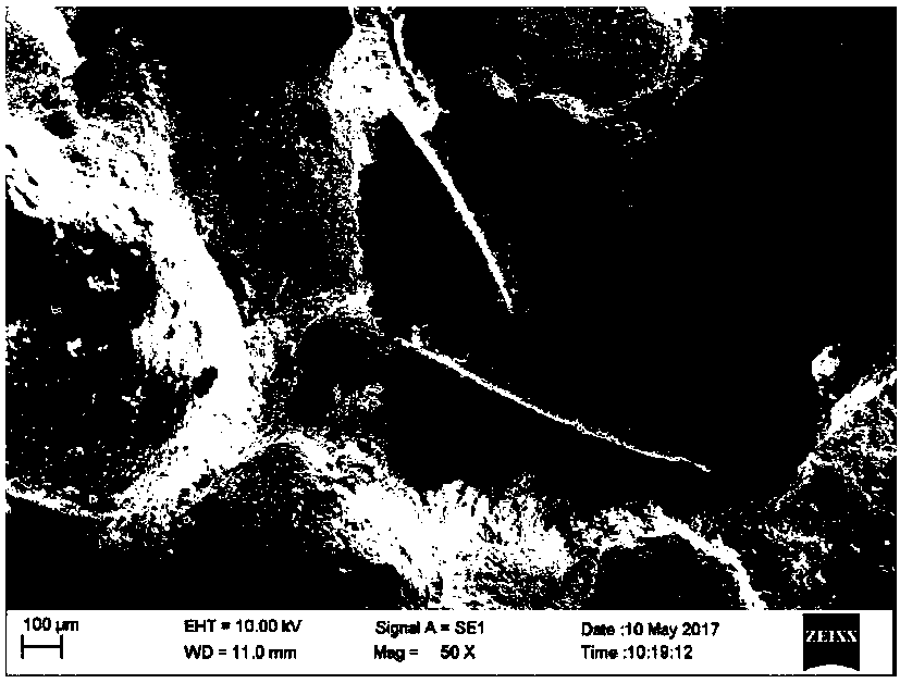 Solid waste foam concrete and preparation method thereof