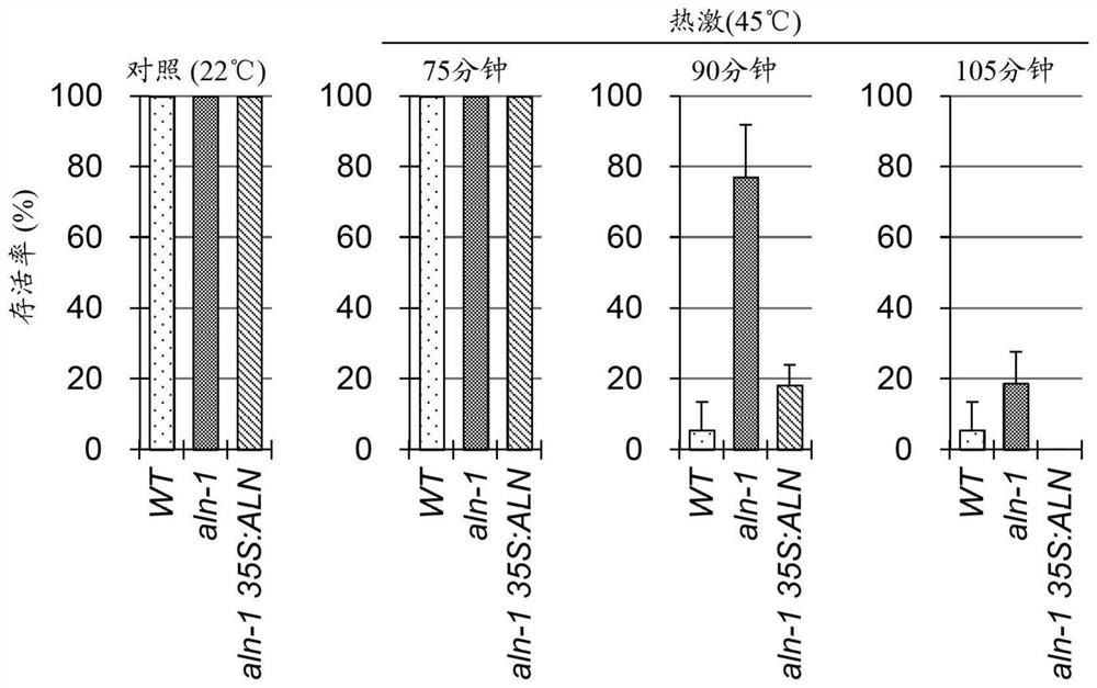 Plant high temperature stress resistance improving agent, method for improving high temperature stress resistance, albino inhibitor, and dreb2a gene expression promoter