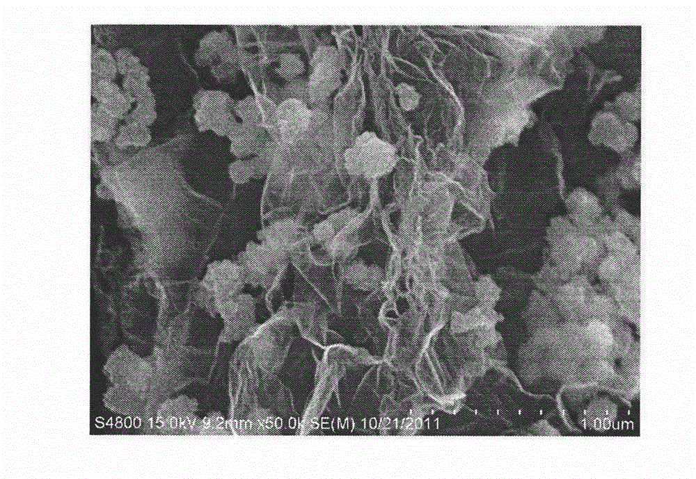 Method for preparation of ferric oxide/graphene/carbon fiber composite material