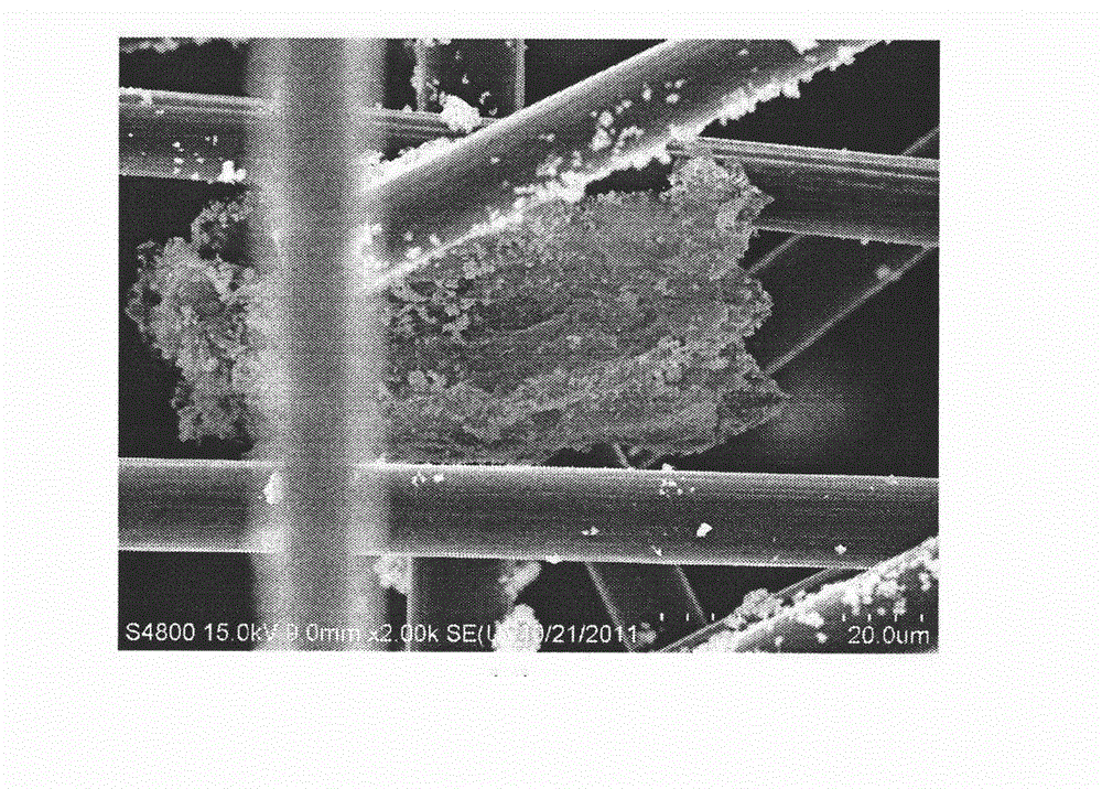 Method for preparation of ferric oxide/graphene/carbon fiber composite material