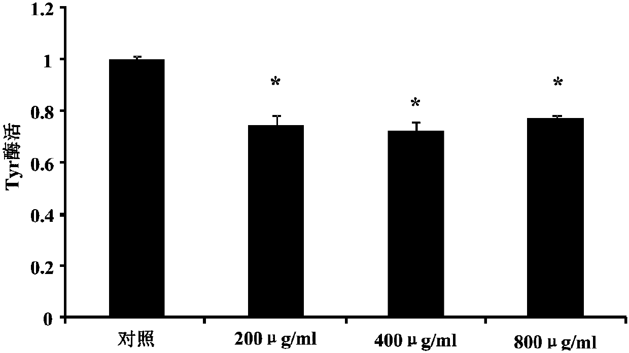 Formula peptide milk powder with whitening and slimming functions and preparation method thereof