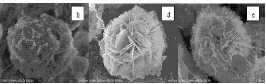 Preparation method of nano petaline Ni(OH)2