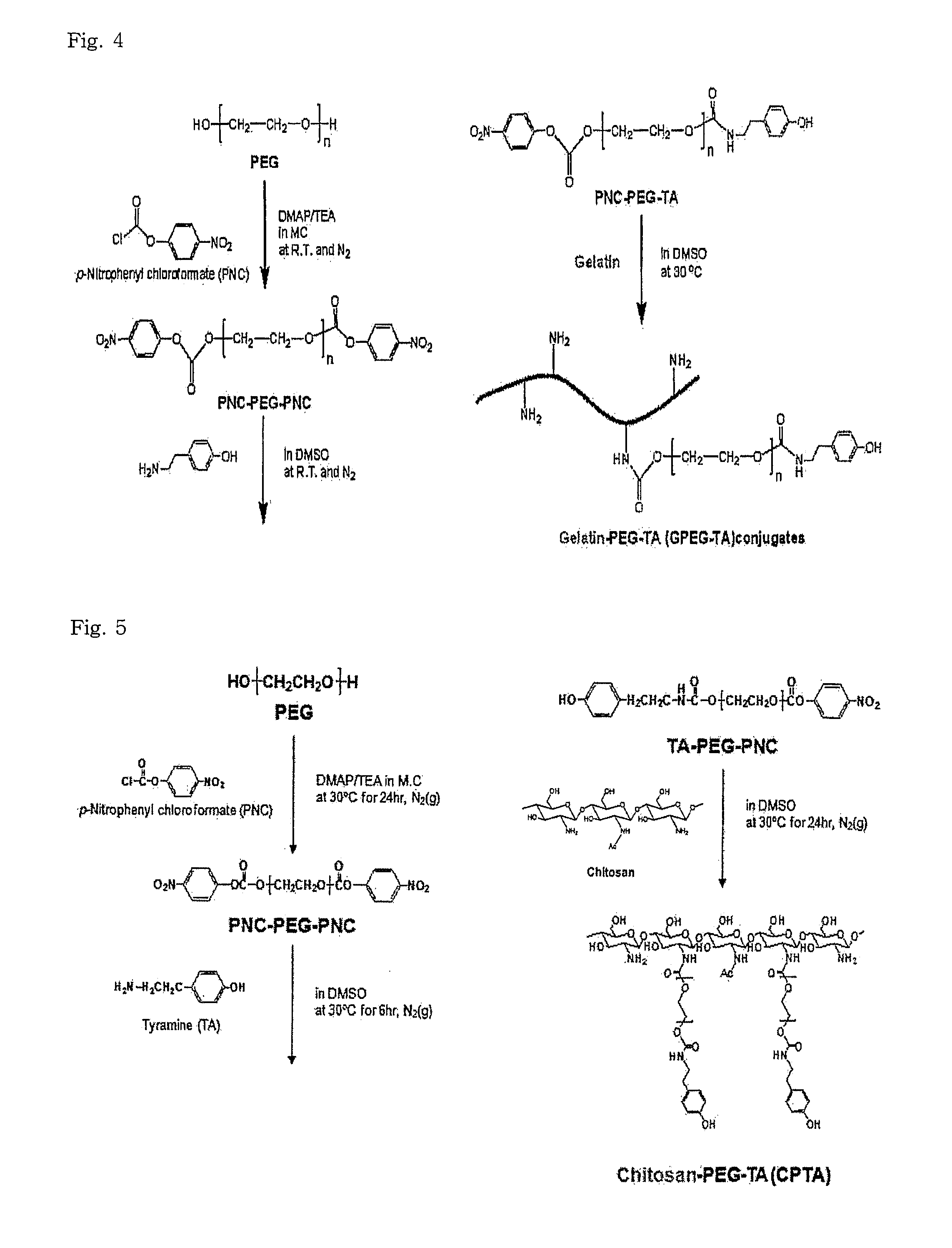 In situ-forming hydrogel for tissue adhesives and biomedical use thereof