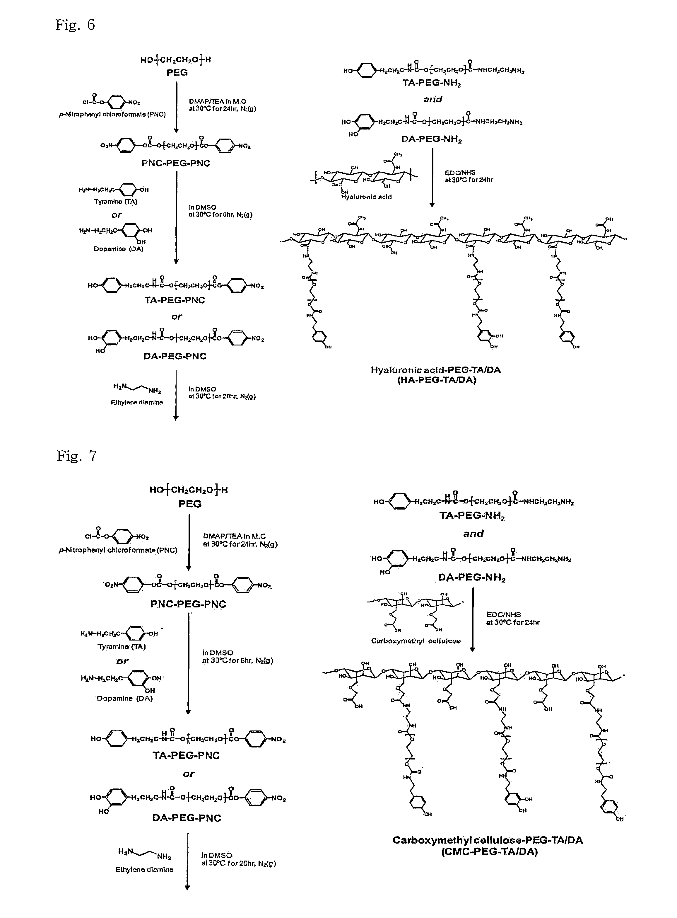 In situ-forming hydrogel for tissue adhesives and biomedical use thereof