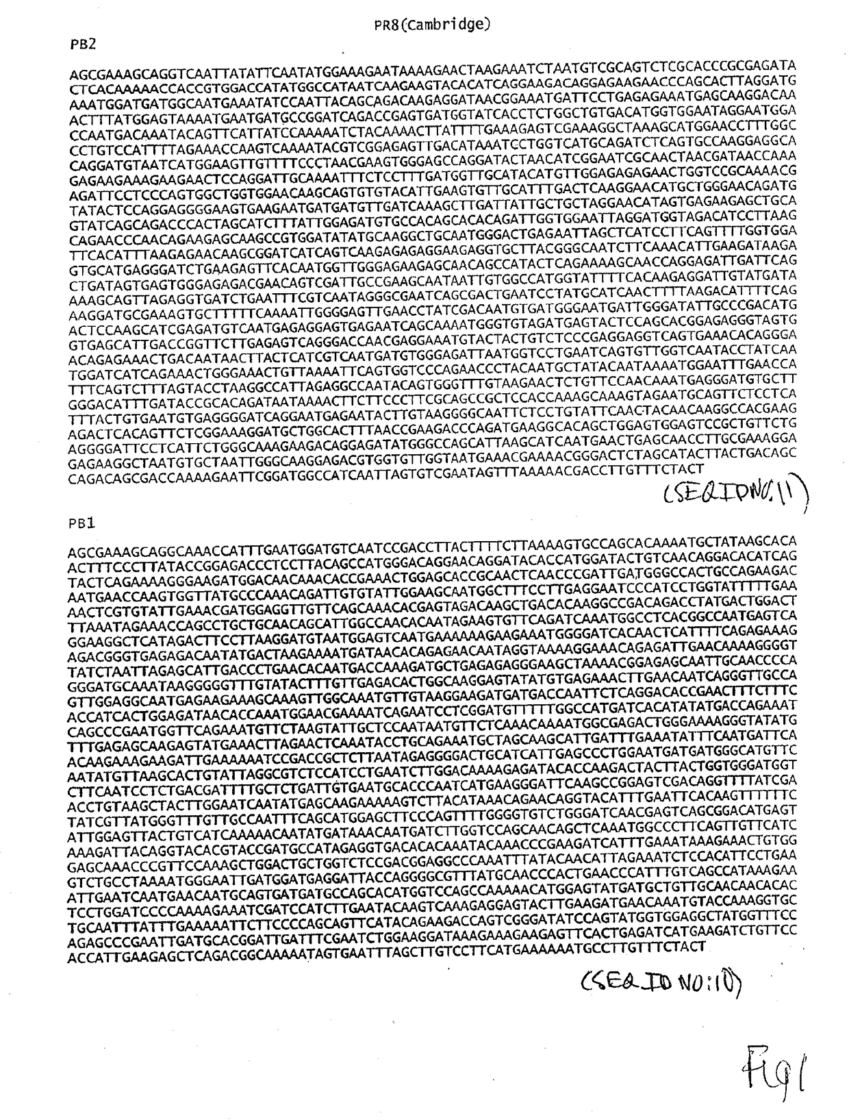 High titer recombinant influenza viruses with enhanced replication in mdck or vero cells or eggs