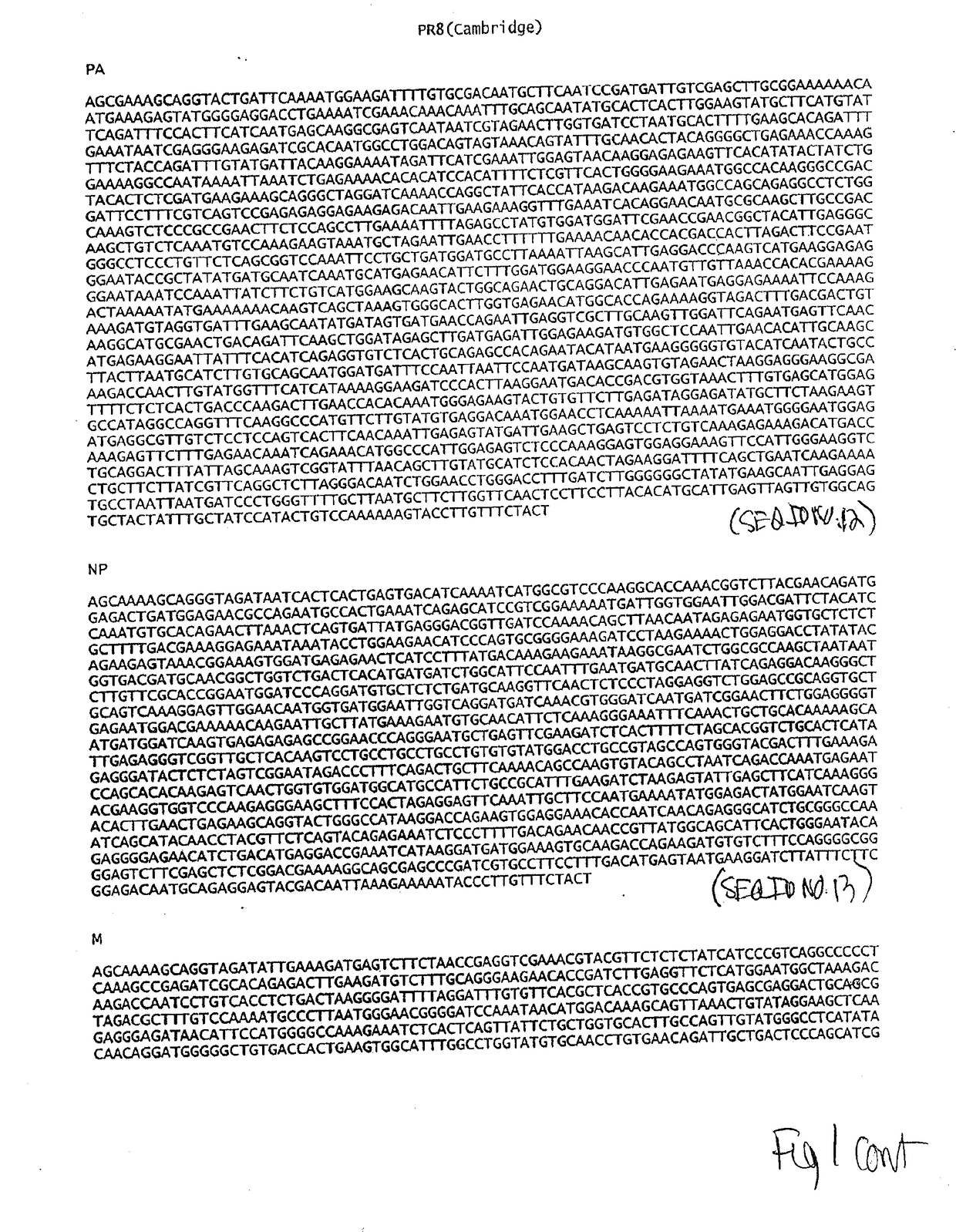 High titer recombinant influenza viruses with enhanced replication in mdck or vero cells or eggs