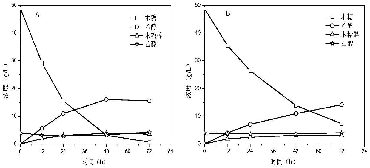 Xylose fermentation strain resistant to inhibitors and construction method and applications thereof