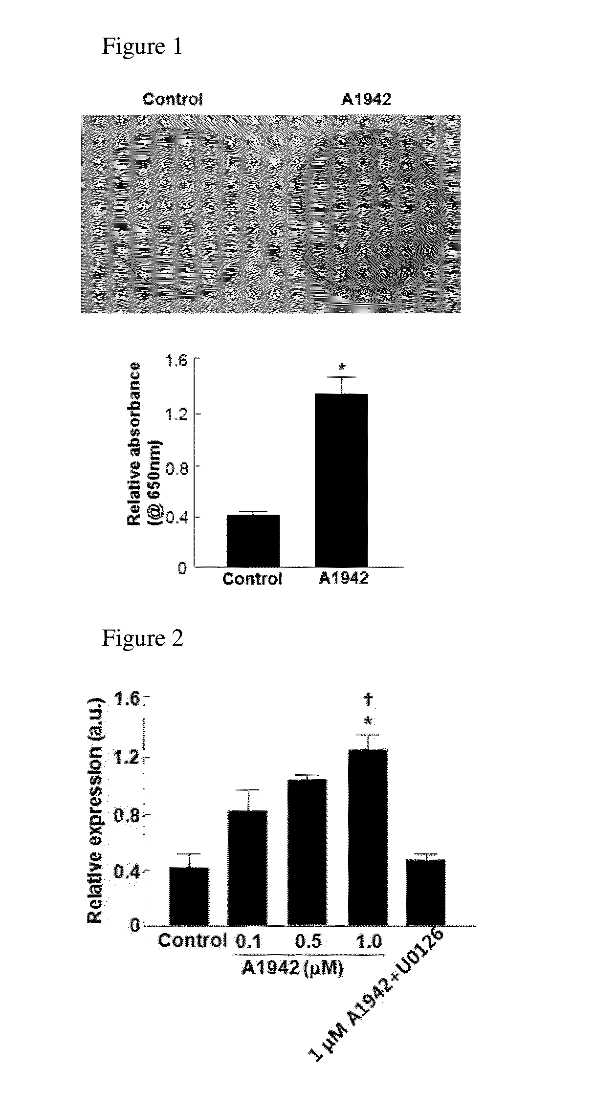 Use of compounds for inducing differentiation of mesenchymal stem cells to chondrocytes